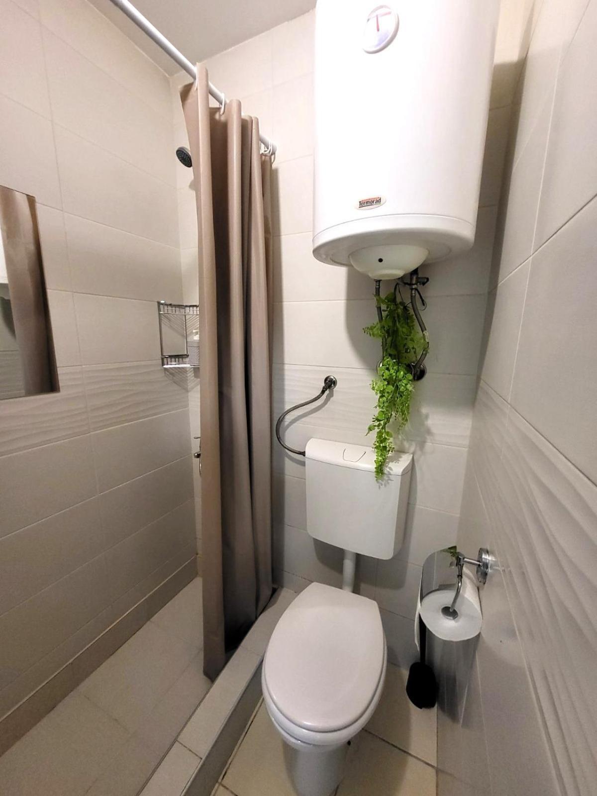 Guesthouse Ozegovic Belgrad Zewnętrze zdjęcie